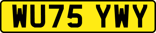 WU75YWY