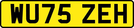 WU75ZEH