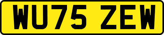 WU75ZEW