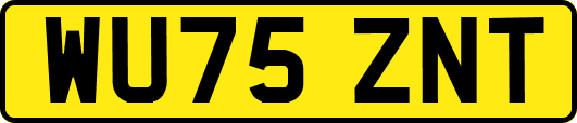 WU75ZNT