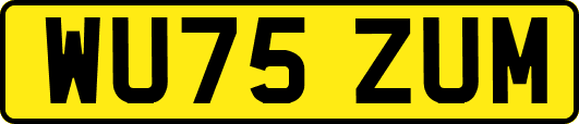 WU75ZUM