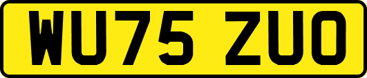 WU75ZUO