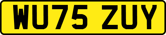 WU75ZUY