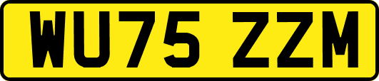 WU75ZZM