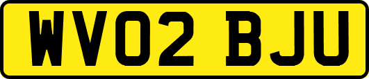 WV02BJU
