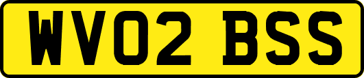 WV02BSS