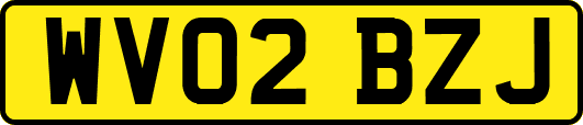 WV02BZJ