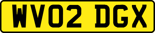 WV02DGX