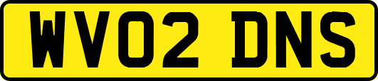 WV02DNS