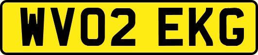 WV02EKG