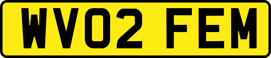 WV02FEM