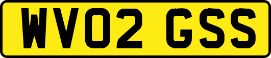 WV02GSS