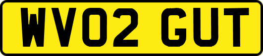 WV02GUT