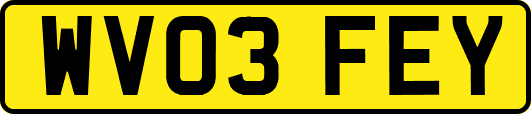 WV03FEY