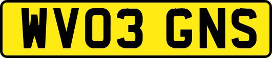 WV03GNS