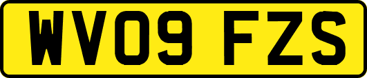 WV09FZS