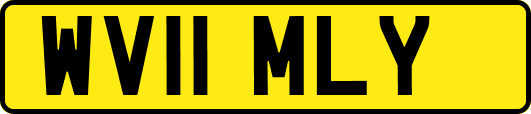 WV11MLY