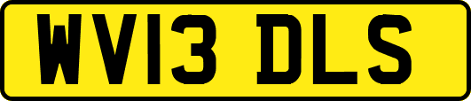 WV13DLS