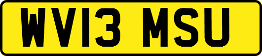 WV13MSU