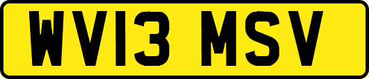 WV13MSV