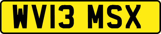 WV13MSX