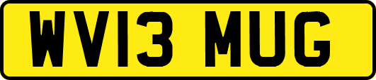 WV13MUG