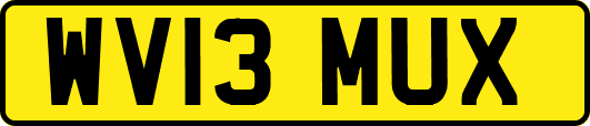 WV13MUX