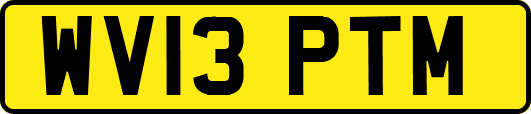 WV13PTM