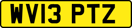 WV13PTZ