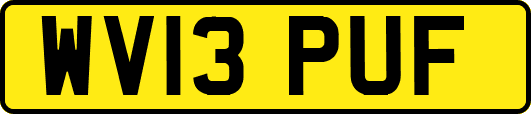 WV13PUF