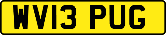 WV13PUG