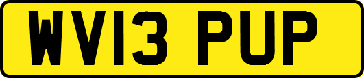 WV13PUP