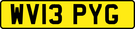 WV13PYG