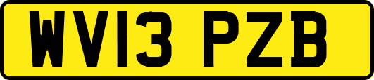 WV13PZB