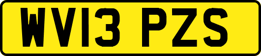 WV13PZS