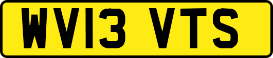 WV13VTS