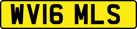 WV16MLS