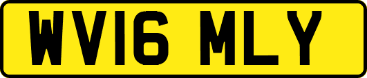 WV16MLY