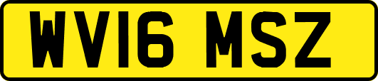 WV16MSZ