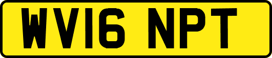 WV16NPT