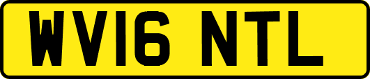 WV16NTL