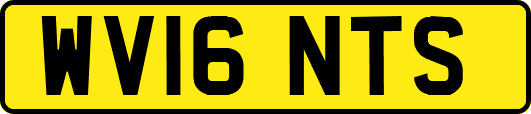 WV16NTS