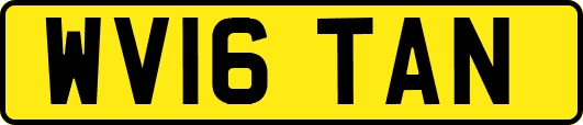 WV16TAN
