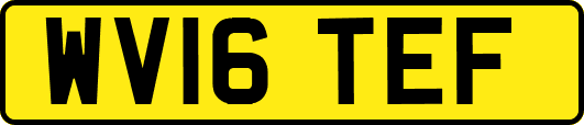 WV16TEF