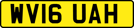 WV16UAH