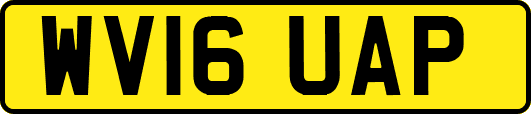 WV16UAP