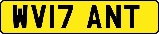 WV17ANT
