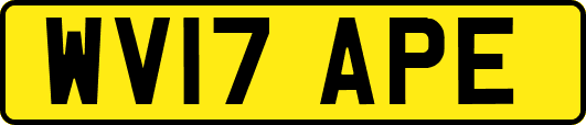 WV17APE