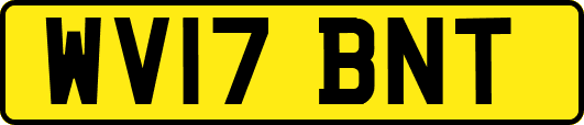 WV17BNT
