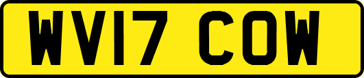 WV17COW